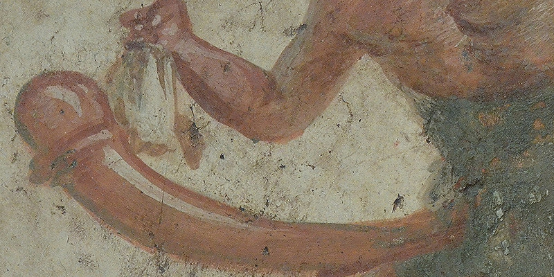 der Riesen-Penis - penis magnus und warum ihn keiner braucht - sexspielzeug.de